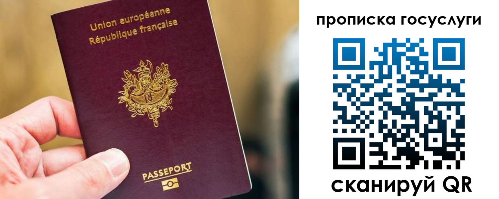 временная регистрация поиск в Калужской области